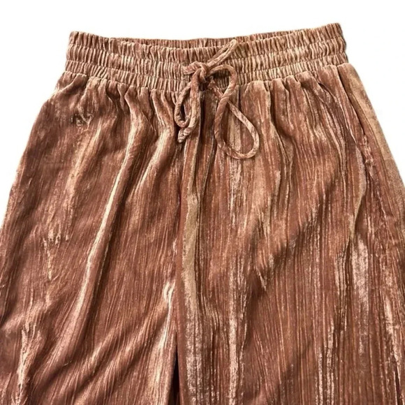 Blue B Pleated Crushed Velvet Pull-On Wide Leg Pants Carmel Small - Picture 10 of 10
